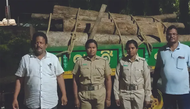 ବିପୁଳ ପରିମାଣର କାଠ ଜବତ