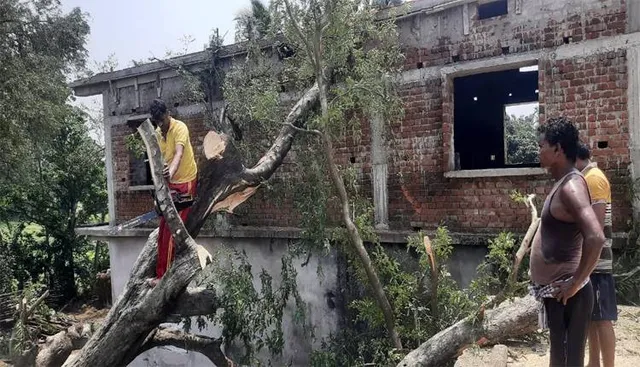 କାଳବୈଶାଖୀ: ଦଧିନଉତି ଭାଙ୍ଗିଲା, ଛାତ ଉପରେ ପଡ଼ିଲା ଗଛ