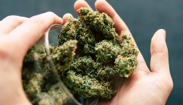 ୬୭ କେଜି ଗଞ୍ଜେଇ ଜବତ, ୨ ଗିରଫ