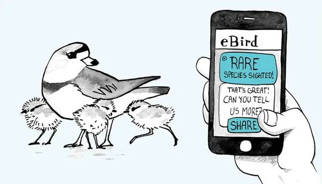 ଖୋଲା ଝରକା - ପଶୁପକ୍ଷୀଙ୍କ ଭାଷା ବୁଝିବା