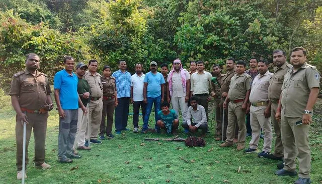ଫେରାର୍ ବାଘ ଶିକାରୀକୁ କାବୁକଲା ବନ୍ୟପ୍ରାଣୀ ବିଭାଗ