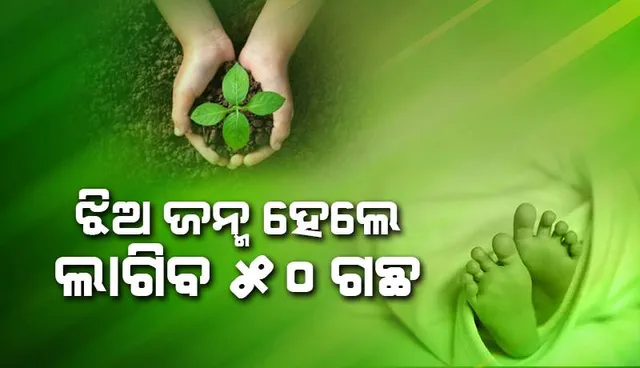 ଭାଲେଶ୍ବର ସରପଞ୍ଚଙ୍କ ନିଆରା ପଦକ୍ଷେପ: ଝିଅ ଜନ୍ମ ହେଲେ ଲାଗିବ ୫୦ ଗଛ