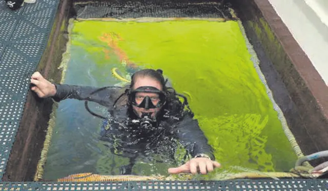 ପାଣି ଭିତରେ ଶହେ ଦିନ