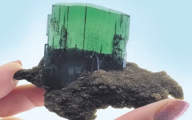 ଶବରୁ ଜାତ ରତ୍ନ