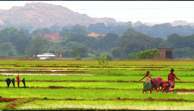 ଆଦିବାସୀଙ୍କ ଜମି ଜବରଦଖଲ ଅଭିଯୋଗ