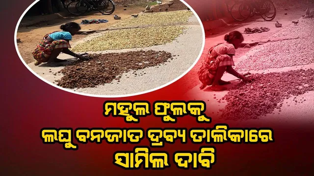 ମହୁଲ ଫୁଲ ସଂଗ୍ରହ ପାଇଁ ଗାଁ ଗାଁରେ ବୁଲୁଛନ୍ତି ବାହାର ଅଞ୍ଚଳର ବେପାରୀ 