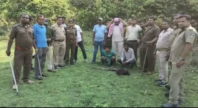 ବାଘ ଶିକାରୀ ଗିରଫ, ବାଘ ଚମଡା ଜବତ