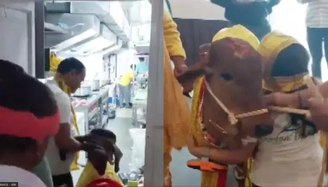 ଏହି କାରଣରୁ ଗାଈ ଦ୍ବାରା ରେସ୍ତୋରାଁ ଉଦ୍‌ଘାଟନ କଲେ ପୂର୍ବତନ ଡେପୁଟି ଏସପି