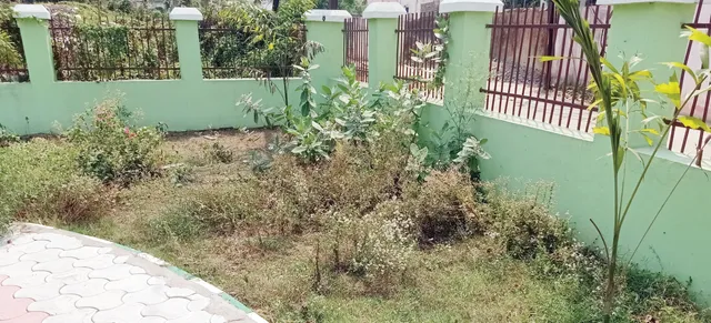 ରକ୍ଷଣାବେକ୍ଷଣ ନୋହିଲା...୫୦ ଲକ୍ଷ ଟଙ୍କାର ପାର୍କ ନଷ୍ଟ ହେବାକୁ ବସିଛି