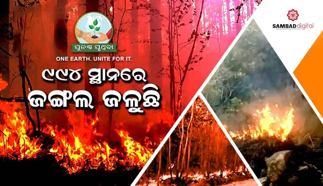 ପୁଣି ବଢ଼ୁଛି ବନାଗ୍ନି: ୯୯୪ ସ୍ଥାନରେ ଜଙ୍ଗଲ ଜଳୁଛି