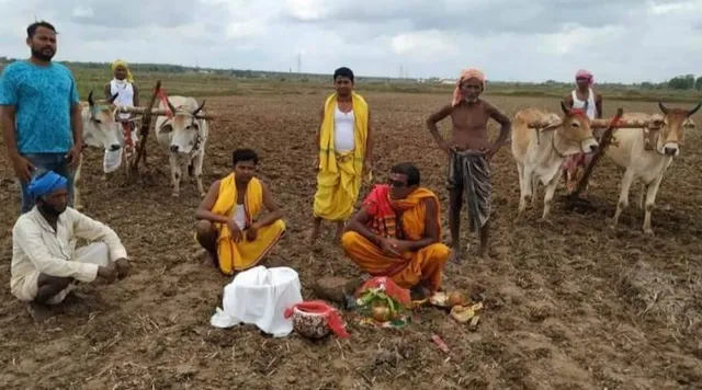 ଲକ୍ଷ୍ମୀଙ୍କୁ ଆବାହନ କରି ଅଖିମୁଠି ଧାନ ବୁଣିଲେ ଚାଷୀ