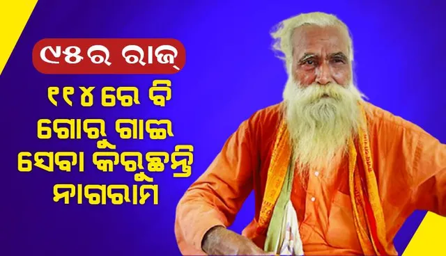 ୯୫ର ରାଜ୍‌: ୧୧୪ରେ ବି ଗୋରୁ ଗାଈ ସେବା କରୁଛନ୍ତି ନାଗରାମ