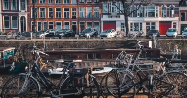 ଜିତିପାରିବେ କି ୧୦ ସେକେଣ୍ଡ୍‌ର ଚ୍ୟାଲେଞ୍ଜ୍‌? କହିଲେ ଫଟୋ‌‌ରେ କେଉଁଠି ବସିଛି ଚଢ଼େଇ?