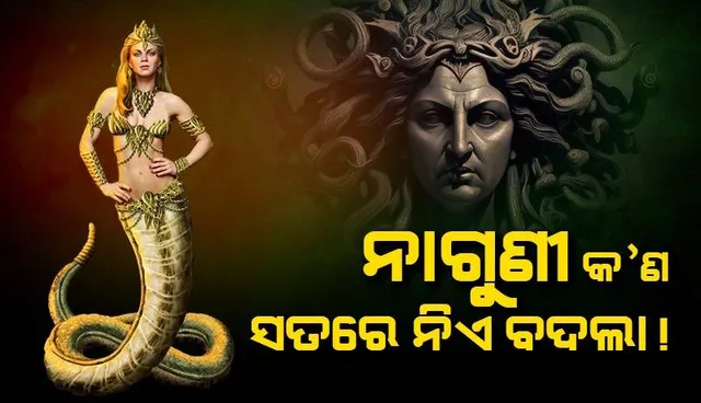 ସାପଙ୍କ ବାବଦରେ ଜାଣନ୍ତି କି ଏସବୁ ରୋଚକ କଥା
