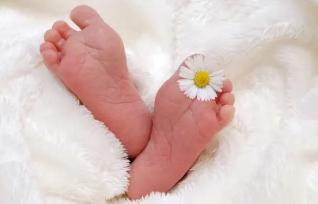 ‘ଜାତୀୟ କନ୍‌କ୍ଲେଭ୍‌: ମନ୍‌ କୀ ବାତ୍‌ ୧୦୦’ କାର୍ଯ୍ୟକ୍ରମ ବେଳେ ହେଲା ପ୍ରସବ ବେଦନା; ପୁଅ ଜନ୍ମକଲେ ବିଶିଷ୍ଟ ଅତିଥି