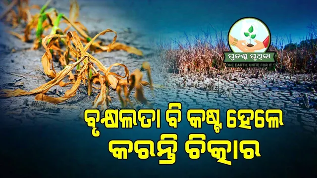 ବିପଦ ପଡ଼ିଲେ ମଣିଷ ପରି ବୃକ୍ଷଲତାରୁ ବି ବାହାରେ ଧ୍ବନି, ସେମାନେ ବି ପ୍ରକାଶ କରନ୍ତି ଯନ୍ତ୍ରଣା