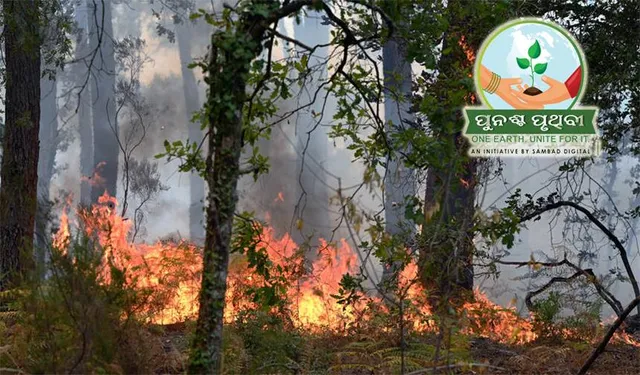 ବନାଗ୍ନି ଡେଇଁଲା ୩୦ ହଜାର, ଓଡ୍ରାଫ୍‌ ନିୟୋଜନ ପରେ ବି ସୁଫଳ ମିଳୁନି