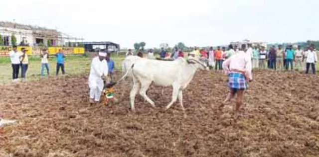 ପଟ୍ଟାମୁଣ୍ଡାଇରେ କେନ୍ଦ୍ରମନ୍ତ୍ରୀଙ୍କ ଅଖିମୁଠି ଅନୁକୂଳ: ଆସିଲେନି ବୈଜୟନ୍ତ, ଦ‌ୂରେଇ ରହିଲେ ଅଲେଖ