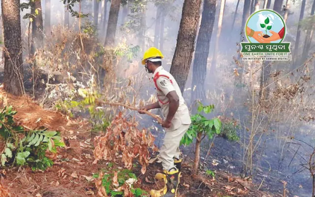 ଉଷ୍ମ ହେଉଛି ମାଳଭୂମି, ୧୫ ବର୍ଷରେ ୩ ଡିଗ୍ରି ବଢ଼ିଛି ତାପମାତ୍ରା