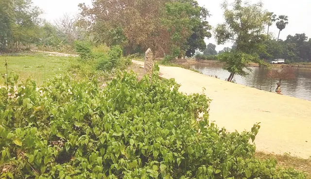 କୁଆଁରିଆ କେନାଲର ପୁନରୁଦ୍ଧାର ଦାବି