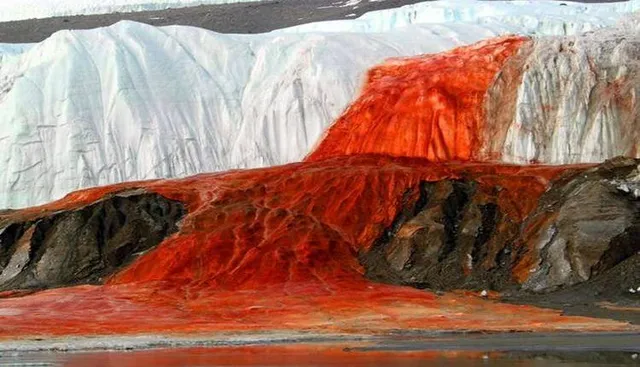 ବରଫାଚ୍ଛାଦିତ  ଆଣ୍ଟାର୍କଟିକା ମହାଦେଶରେ ବିସ୍ମୟ : ରକ୍ତିମ ଜଳପ୍ରପାତ