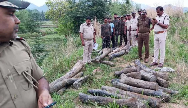 ପୋଖରୀ ଭିତରୁ ମିଳିଲା ୫୩୮ କେଜି ରକ୍ତଚନ୍ଦନ କାଠ