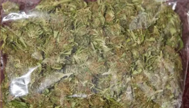 ଗଞ୍ଜେଇ ସହ ବାଇକ୍ ଜବତ, ୨ ଗିରଫ