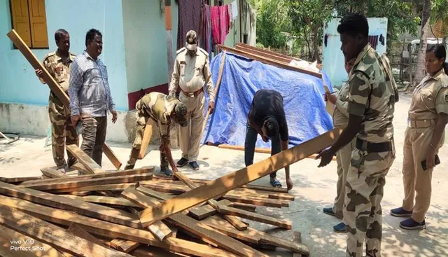 ଭିଜିଲାନ୍ସ ଚଢ଼ଉ, ବିପୁଳ କାଠ ଜବତ