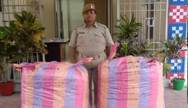 ୧.୪ କ୍ୱିଣ୍ଟାଲ ଗଞ୍ଜେଇ ସହ ବନ୍ଧୁକ ଜବତ କଲା ପୁଲିସ