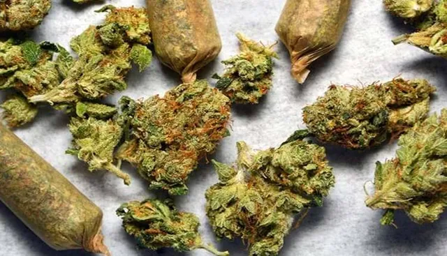 ୪୩୦ କେଜି ଗଞ୍ଜେଇ ଜବତ: ବଲେରୋ ପିକ୍‌ଅପ୍‌ ଜବତ