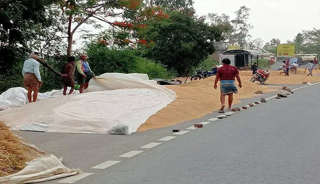 ପୁଣି କାଳ ହେଲା ଅଦିନିଆ ବର୍ଷା, ଅମଳ ଧାନ ଓଦା ହୋଇଗଲା