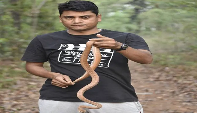 ଝାରସୁଗୁଡ଼ା ଜିଲ୍ଲାରେ ପ୍ରଥମଥର ଠାବହେଲା ‘ଫର୍ଷ୍ଟେନଙ୍କ ଡାଳିସାପ’