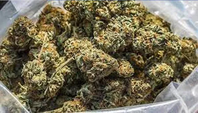 ଗଂଜେଇ ଚାଲାଣ ମାମଲାରୁ ୨ଅଭିଯୁକ୍ତ ନିର୍ଦ୍ଦୋଷ