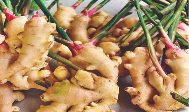 କନ୍ଧମାଳ ବଜାରରୁ ଅଦା ଉଭାନ: କିଲୋ ପିଛା ଦର ୩୦୦ ଟପିଲା