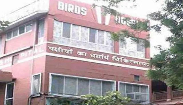 ନୂଆ ସମୟ ନୂଆ କଥା - ପକ୍ଷୀ ହସ୍‌ପିଟାଲ୍‌