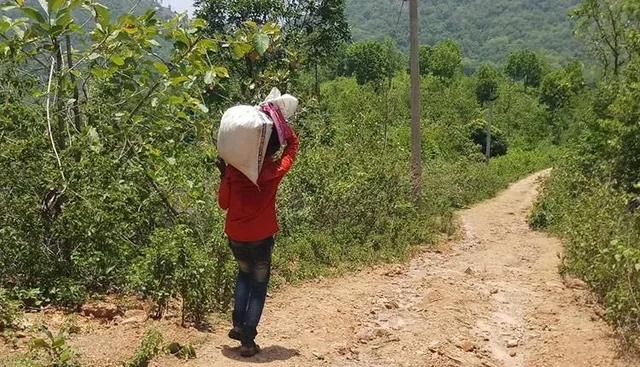 ତେନ୍ତୁଳିପଦରକୁ ପକ୍କା ରାସ୍ତା ନାହିଁ: ରୋଗୀ ଓ ଗର୍ଭବତୀଙ୍କୁ କାଉଡି ଭରସା