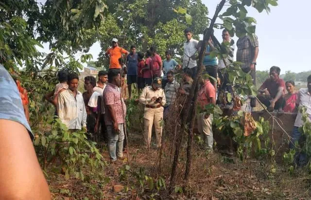 ବଗିଚାକୁ ଆମ୍ବ ତୋଳିବାକୁ ଯାଇଥିଲେ ବୃଦ୍ଧ, କଚାଡ଼ି ଦେଲା ଦନ୍ତା