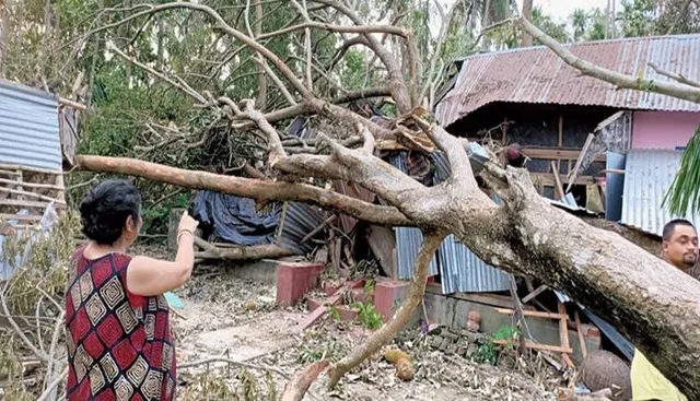 ପୁରାଣ ପଢ଼ୁଥିଲେ, ଗଛ ପଡ଼ି ଚାଲିଗଲା ବୃଦ୍ଧଙ୍କ ଜୀବନ