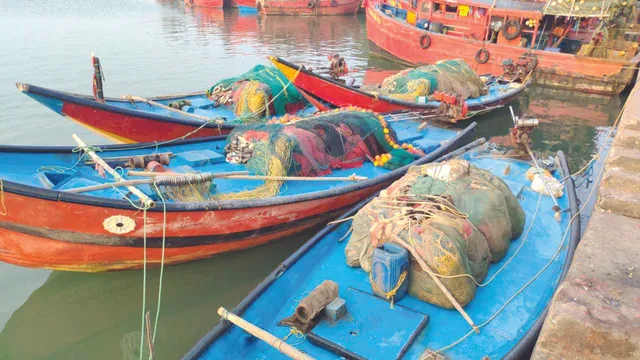 ବାଲିପ୍ଲଟ୍‌କୁ ଏତେ ମାଛ ଆସୁଛି କେଉଁଠୁ?