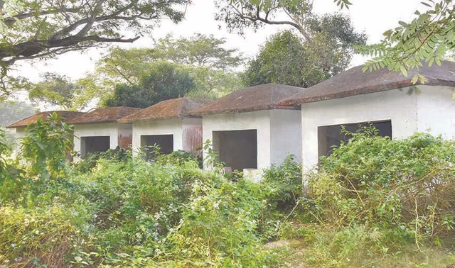 ଅସ୍ତିତ୍ବ ସଙ୍କଟରେ ‘ବକୁଳ ବନ’,ନିଶାଡ଼ିଙ୍କ ପେଣ୍ଠସ୍ଥଳୀ ପାଲଟିଛି