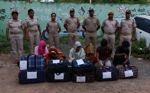 ୮ ଲକ୍ଷ ଟଙ୍କାର ଗଂଜେଇ ଜବତ, ୪ ମହିଳାଙ୍କ ସମେତ ୬ ଗିରଫ