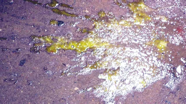 ଗାନ୍ଧୀଜୀଙ୍କ ପ୍ରତିମୂର୍ତ୍ତି ଉନ୍ମୋଚନ କାର୍ଯ୍ୟକ୍ରମରେ ଉତ୍ତେଜନା: ବିଧାୟକ ଶଶିଭୂଷଣ ବେହେରାଙ୍କ ଉପରକୁ ପୁଣି ଥରେ ଅଣ୍ଡାମାଡ଼