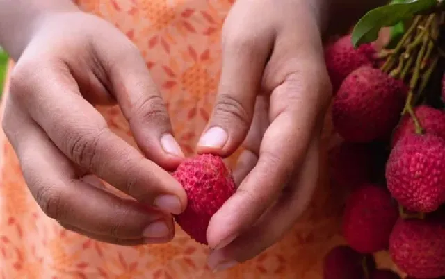 ଏହି ଫଳରେ ରହିଛି ରୋଗ ପ୍ରତିରୋଧକ ଶକ୍ତି ବୃଦ୍ଧିକାରୀ ପଟାସିୟମ୍‌, କପର ଓ ଭିଟାମିନ୍‌ ସି