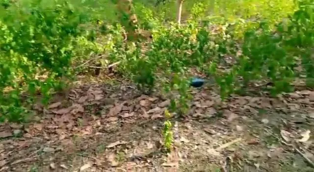 ପୁଲିସ ମାଓ ଗୁଳି ବିନିମୟ: ଛଅ ଦିନରେ ପୁଣି ନିଜ ସ୍ଥିତି ଜାହିର କଲେ ମାଓବାଦୀ