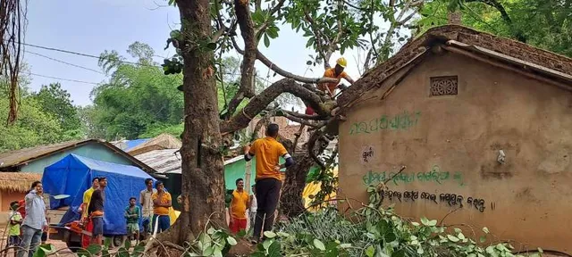 ତାଣ୍ତବ ରଚିଲା କାଳବୈଶାଖୀ, ଗଛ ପଡ଼ି ଭାଙ୍ଗିଲା ଘର