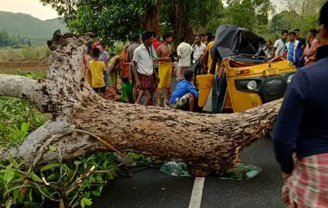 ଜୀବନ ନେଲା କାଳବୈଶାଖୀ; ଅଟୋ ଉପରେ ଗଛପଡି ମହିଳା ମୃତ, ୩ ଆହତ