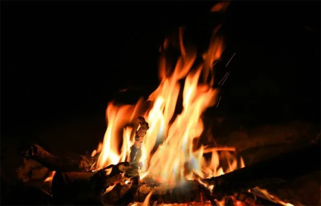 ଅଲୋଡ଼ା ମା’: ଚିକିତ୍ସା କଲେନି କି କାନ୍ଧ ଦେଲେନି ଦୁଇପୁଅ