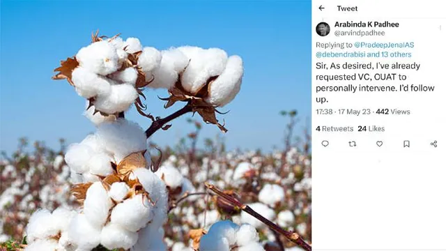 ଓଡ଼ିଶାର ଏକମାତ୍ର କପା ଗବେଷଣା କେନ୍ଦ୍ରକୁ ଅବହେଳା ପ୍ରସଙ୍ଗ: କୃଷି ସଚିବଙ୍କୁ ଅନୁଧ୍ୟାନ ପାଇଁ ମୁଖ୍ୟ ଶାସନ ସଚିବଙ୍କ ନିର୍ଦ୍ଦେଶ