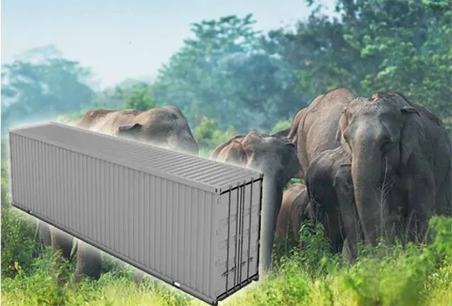 ହାତୀ ପାଇଁ କଣ୍ଟେନର ବ୍ୟବସ୍ଥା, ସୁରକ୍ଷିତ ରହିବ ଗାଁ ଲୋକଙ୍କ ଶସ୍ୟ