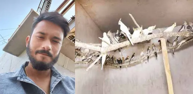 ପକ୍ଷୀ ବେପାରରୁ ପାକିସ୍ତାନ ଲିଙ୍କ୍‌